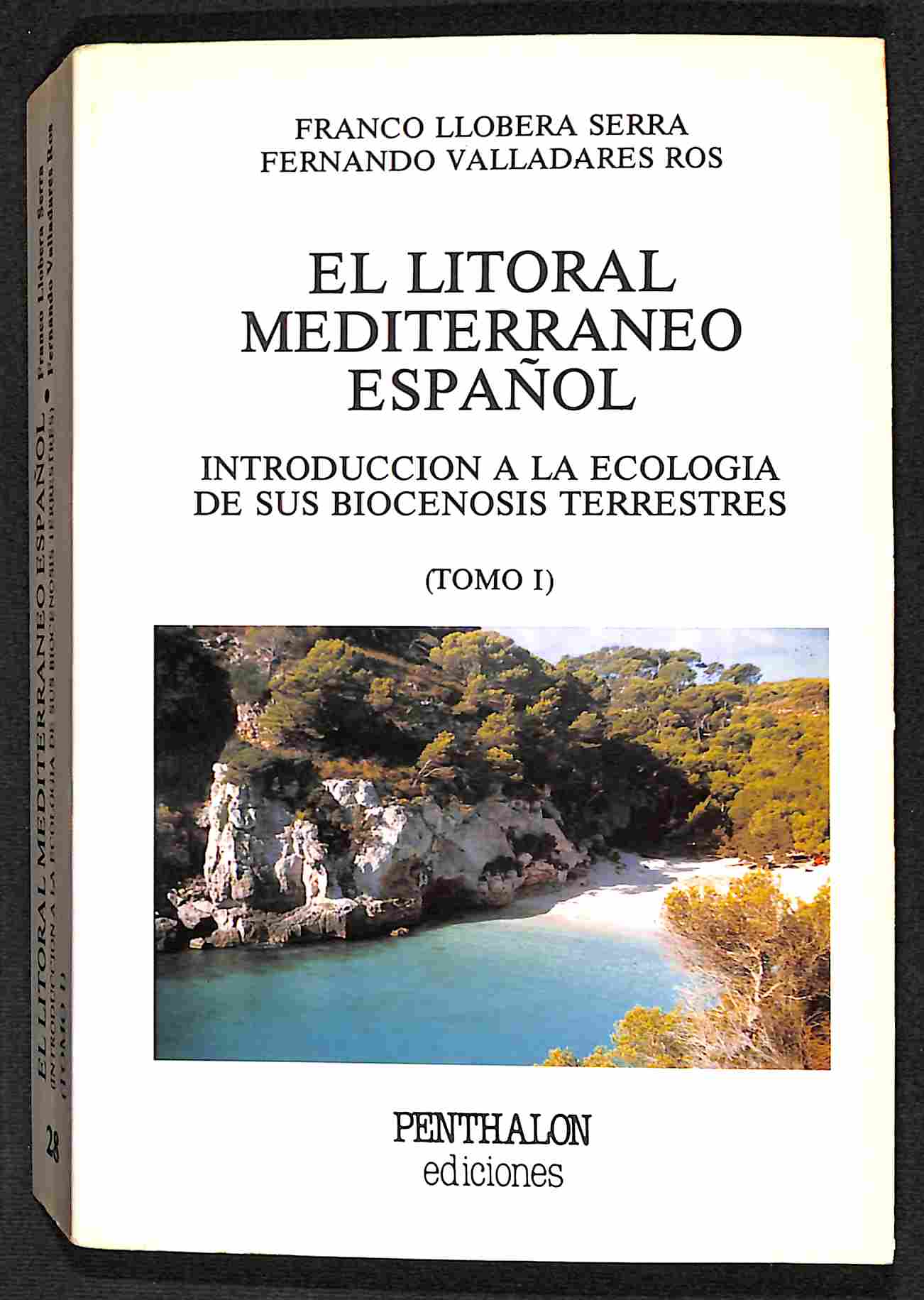 Coloreo ¡sin salirme! Búho: Líneas en relieve - YOYO: 9788408219026 -  AbeBooks